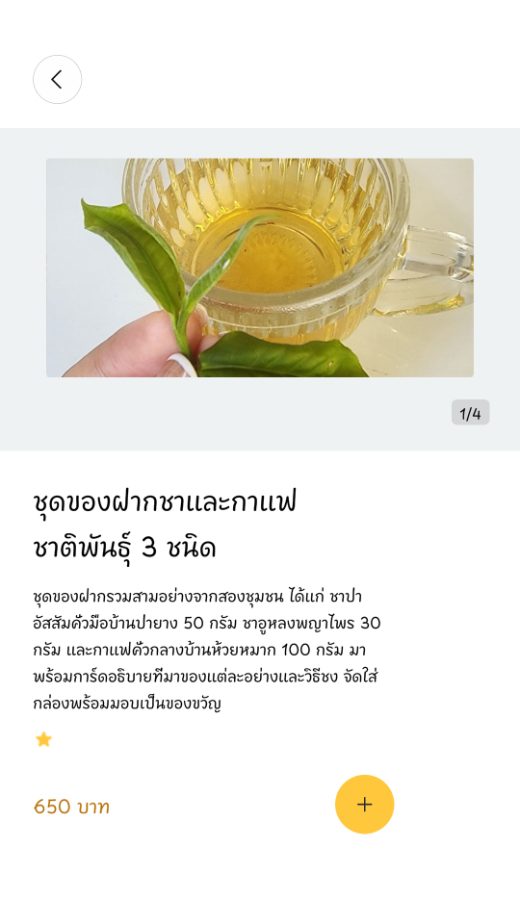 รายละเอียดสินค้าและการสั่งซื้อ